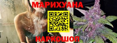 крисы Аргун