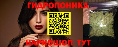 крисы Аргун
