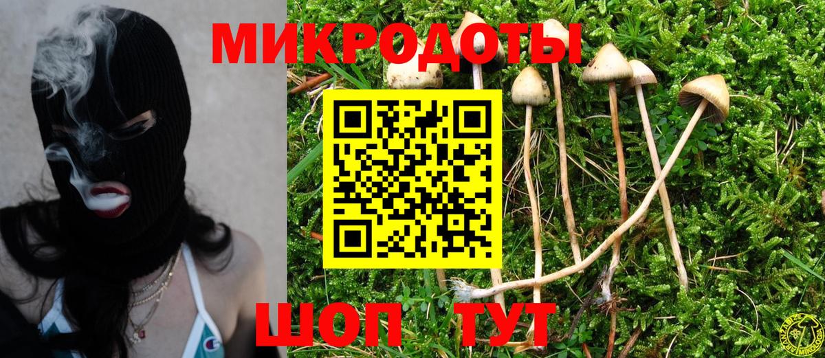 Галлюциногенные грибы Psilocybine cubensis Вольск