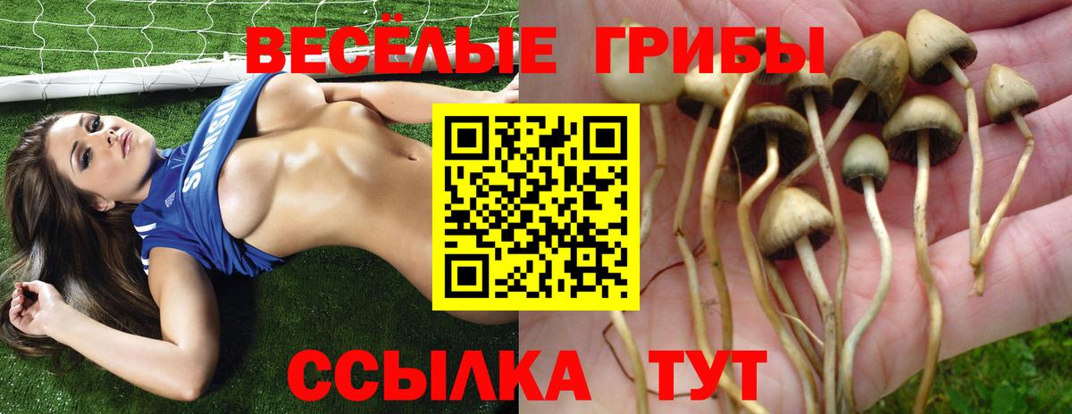 Псилоцибиновые грибы мухоморы  Вход с VPN  Вольск 